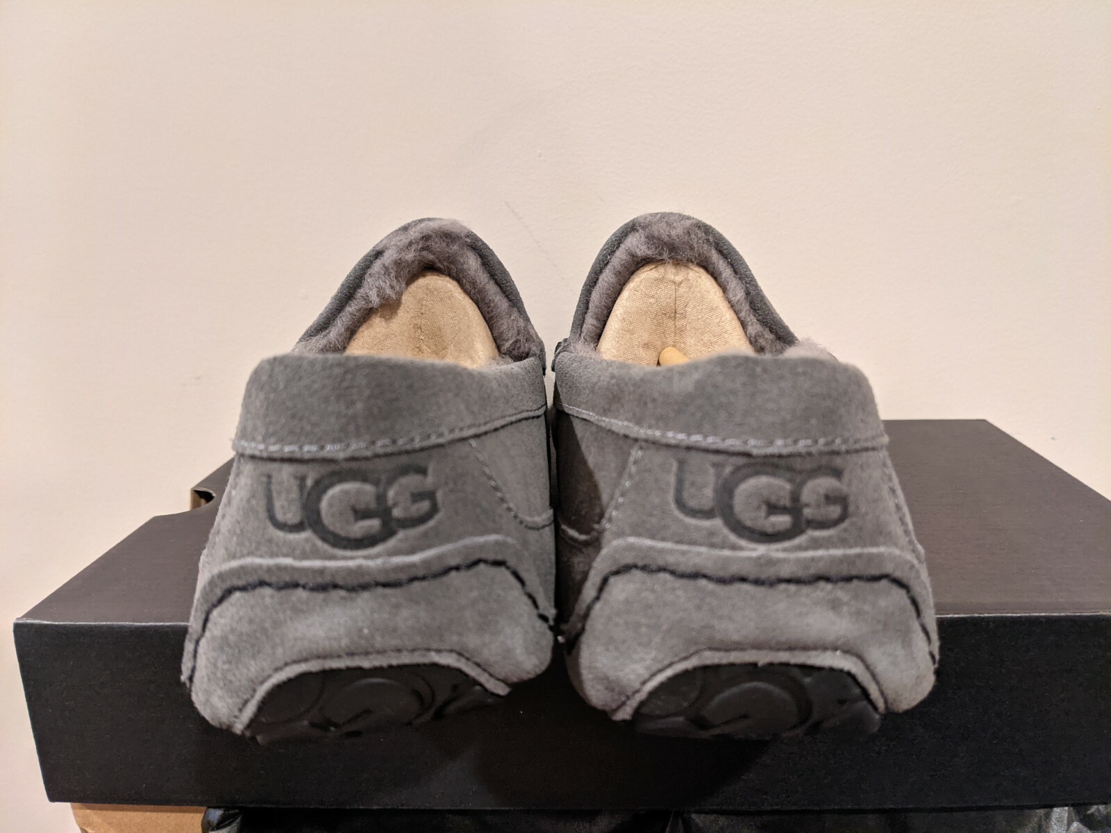 Ugg Australia Men`s Ascot Slipper Size 12 NIB