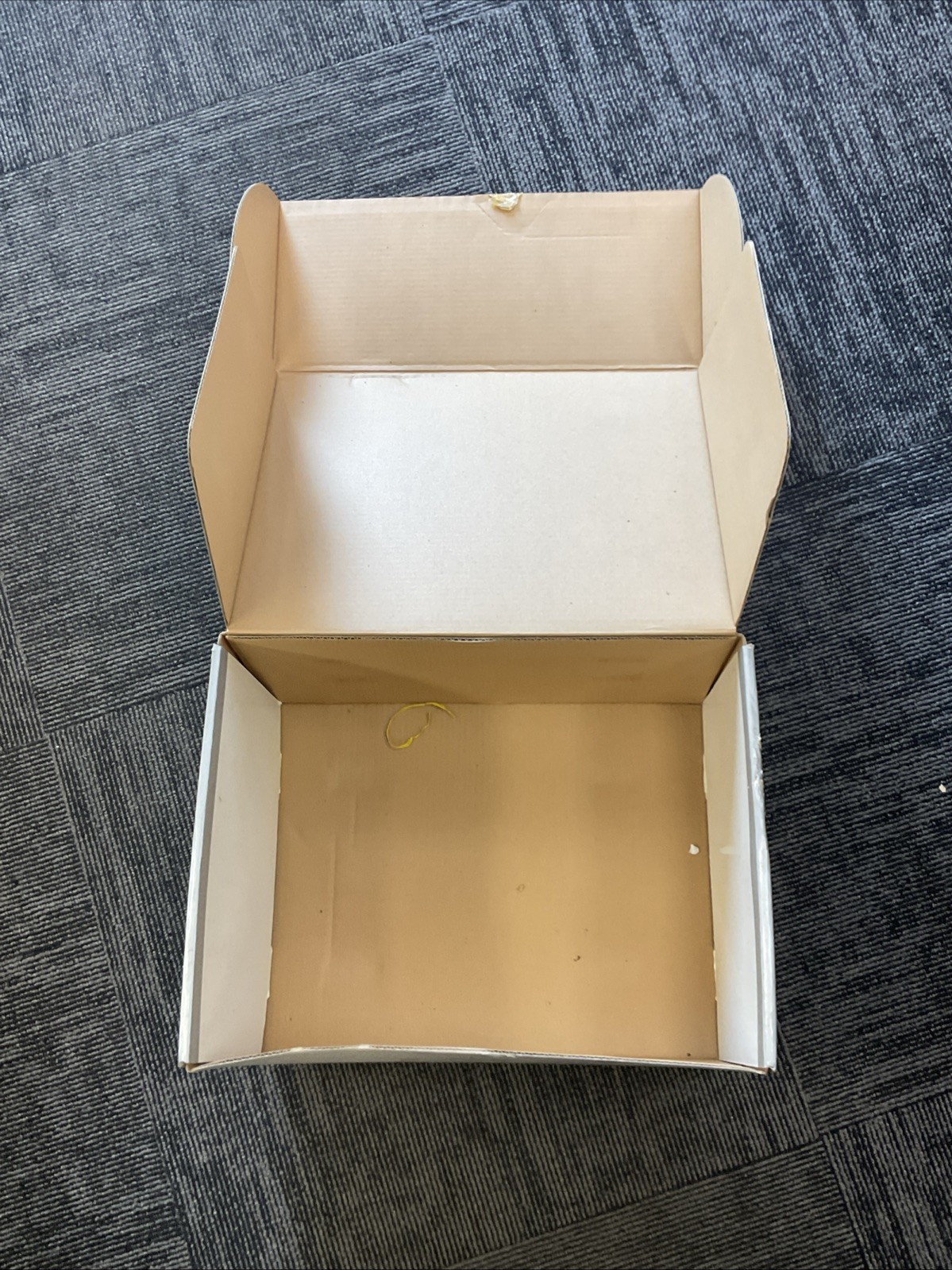 Atari 1025 Printer - In Box - Power On - Untested - Cables - Matching Serials