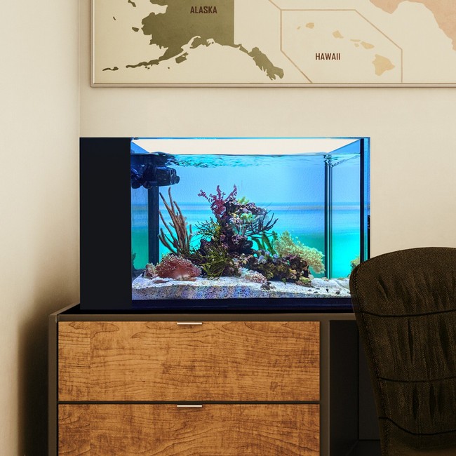 14 Gallon Fusion Pro 2 Bundle AIO Peninsula Aquarium (0207-P) - Innovative Mari