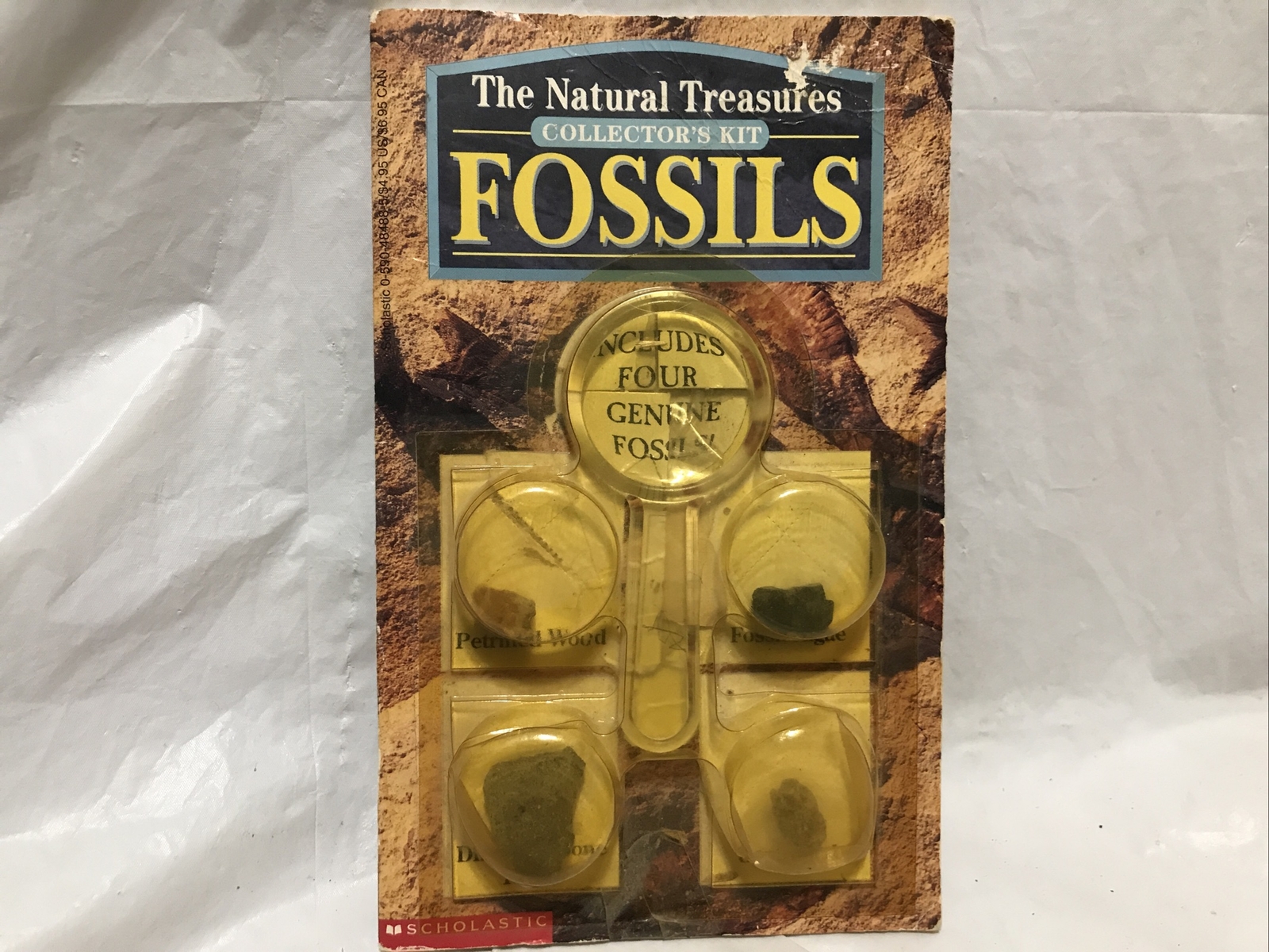 NATURAL TREASURES COLLECTOR KIT FOSSILS BOOK Gastropod Real Dinosaur Bone Algae