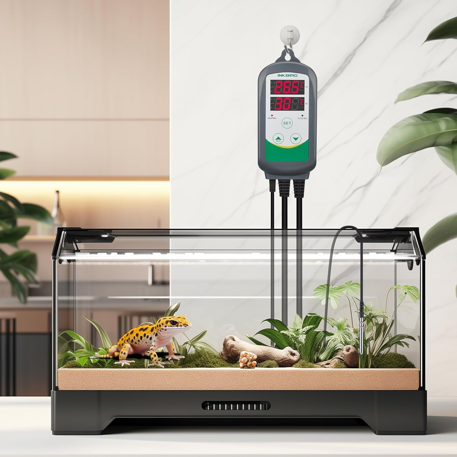 User-Friendly ITC-308 Temperature Controller – Ideal for Fermenting & Plants