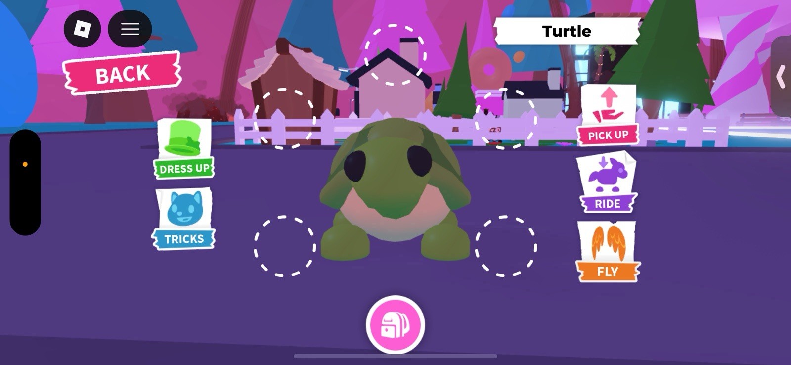 Adopt Me! TURTLE turtle Pet Ride   Game Item for Roblox