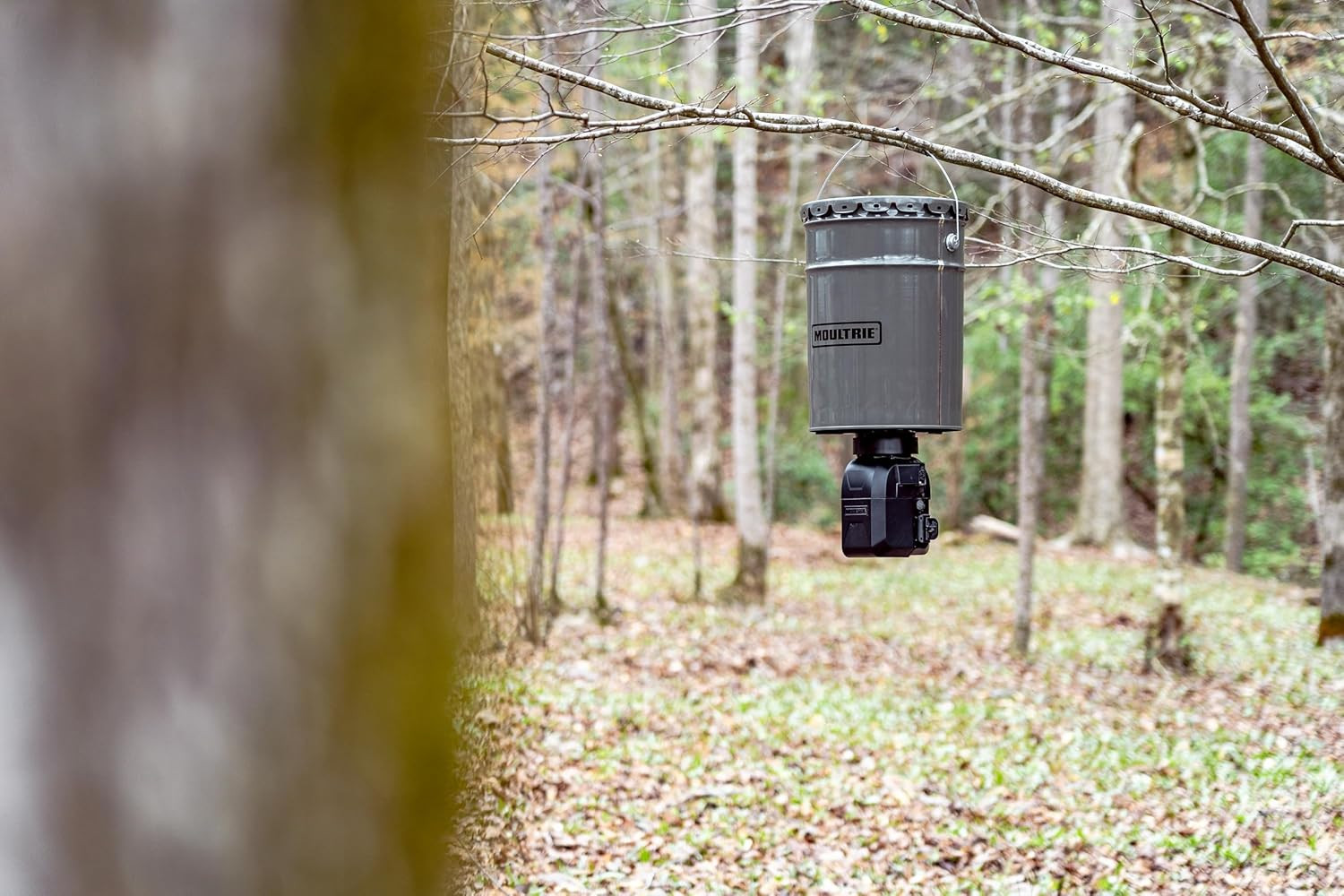 All-In-One Hanging Directional Feeder - 40 Lb, Bluetooth App | Bluetooth App Con