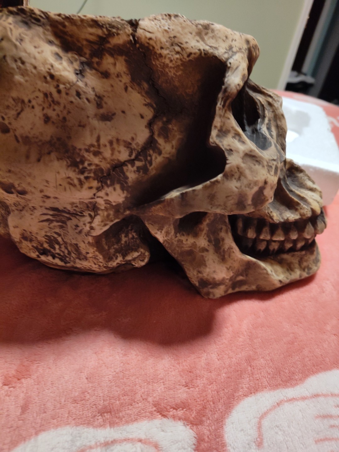 WORLD OF WONDER LARGE SKULL PLANTER
