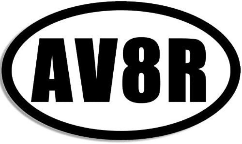 Flying Pilot Fly Oval Decal Sticker, 3x5 Inch