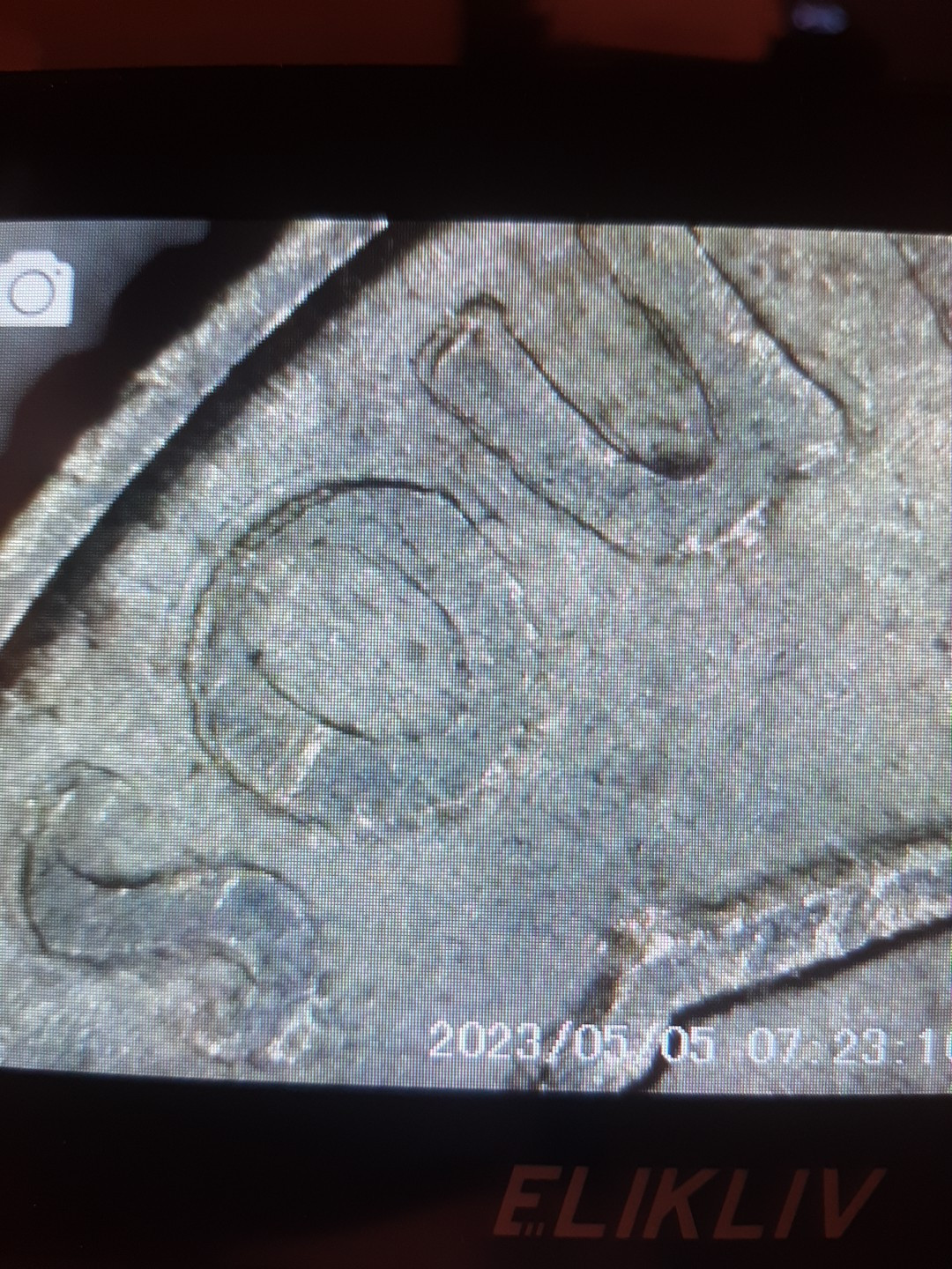 2000p Washington Quarter Struck Through Grease/ DDR ( South Carolina )