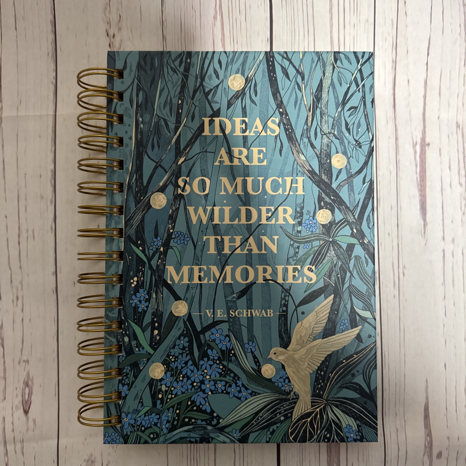 Illumicrate Addie Larue Blank Page Notebook Sketchbook