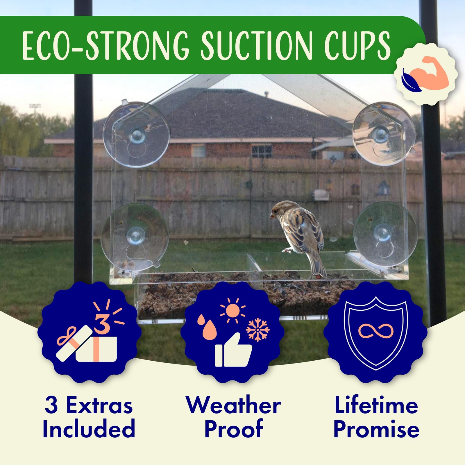 Window Bird Feeder with Strong Suction Cups, Clear 9 Inch,