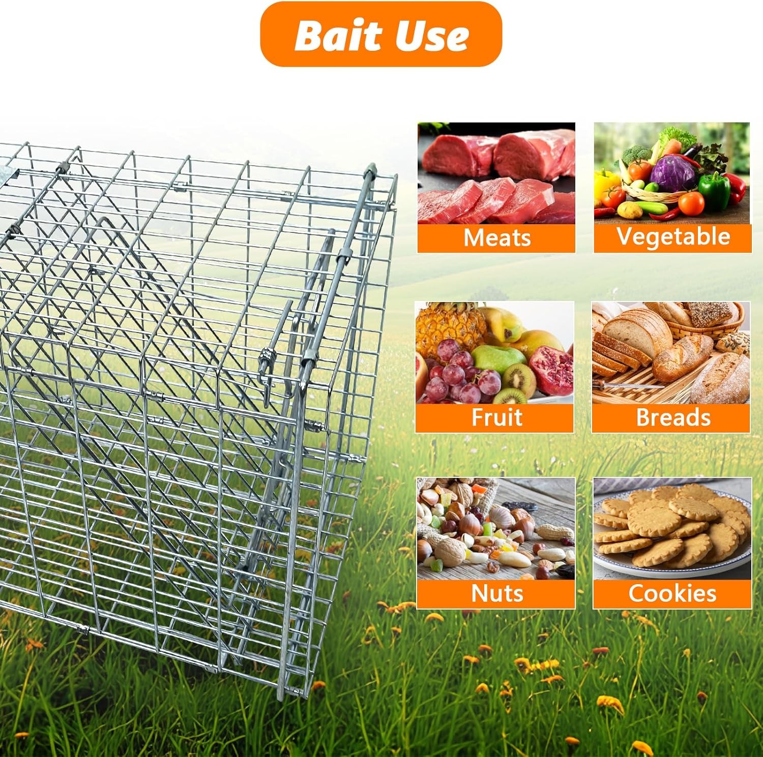 Live Animal Trap Cage, Foldable 37“ Humane Live Trap Cage for Foxes, Coyotes
