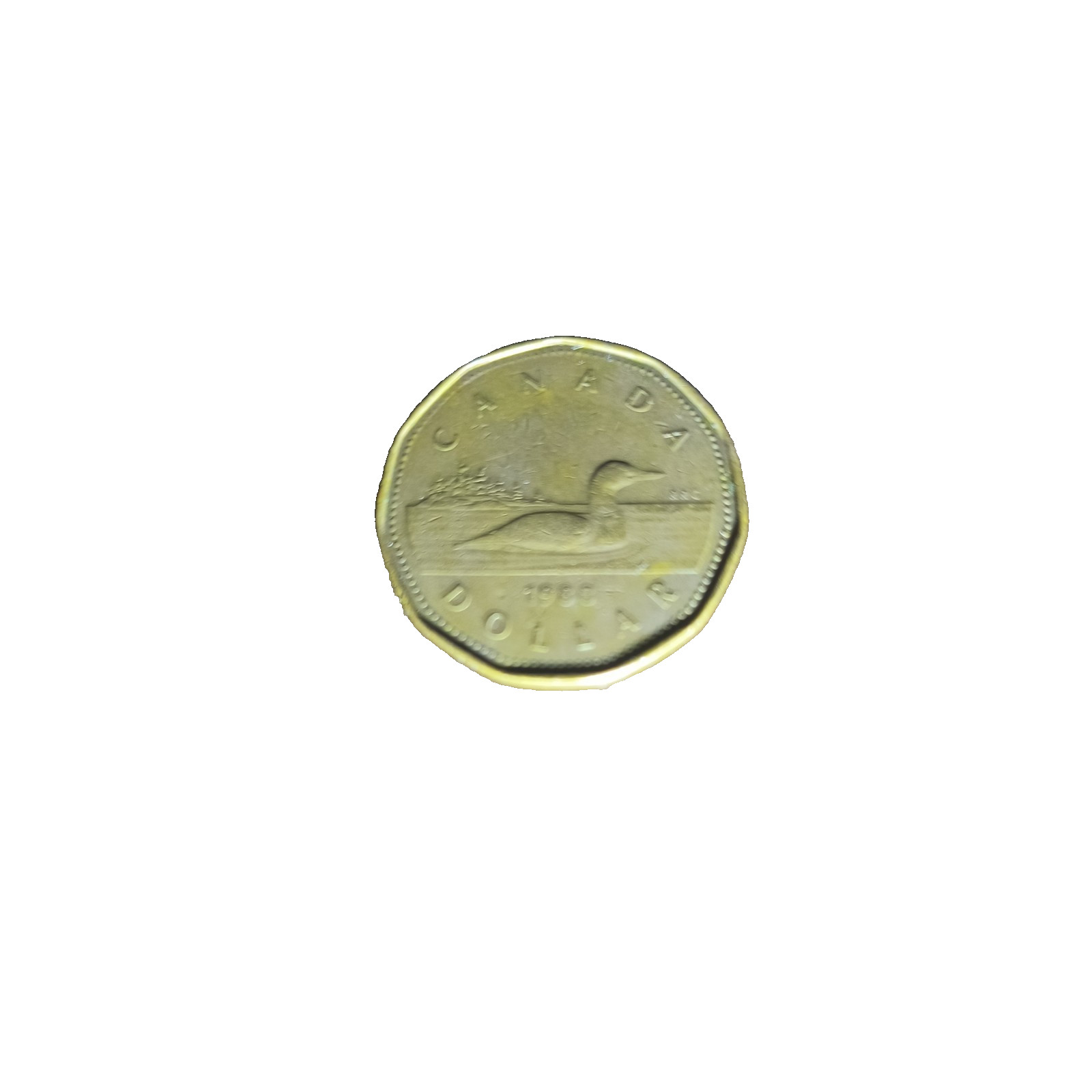 Authentic 1988 Canadian Dollar