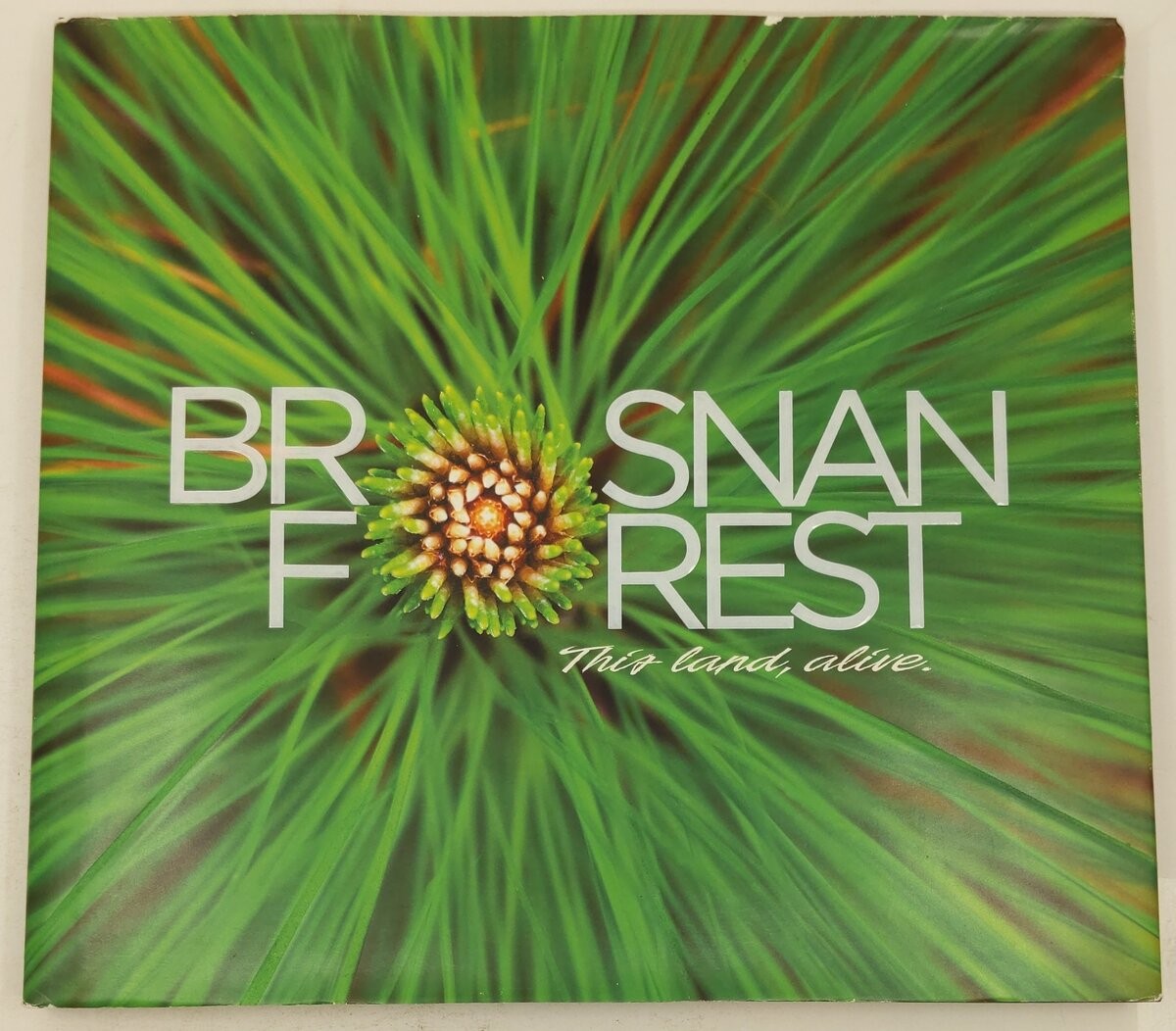 Brosnan Forest: This Land, Alive Hardcover Book By Susan Terpay, Josh Raglin