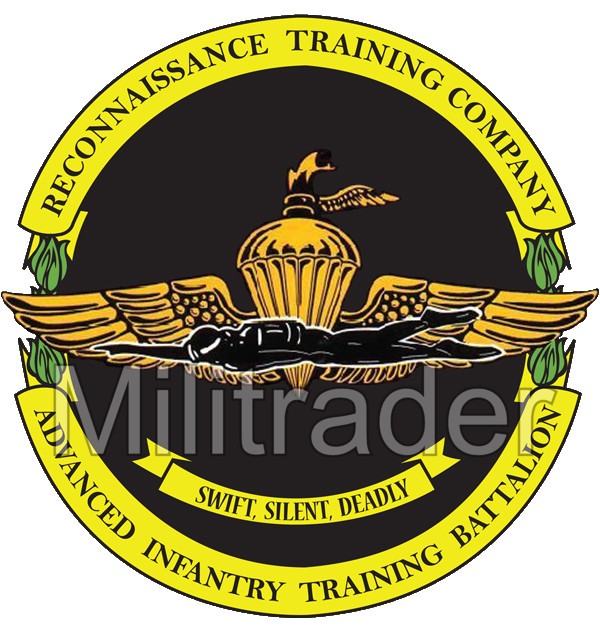 Reconnaissance Training Company Advanced Infantry Training Battalion Vinyl Decal