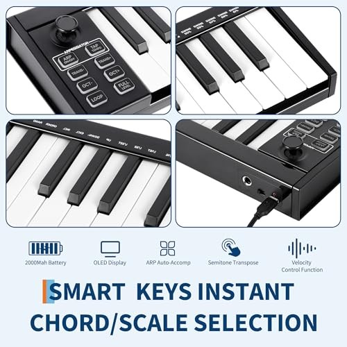 49-Key USB Keyboard Controller Portable, Arranger Keyboard for MIDI 49 key