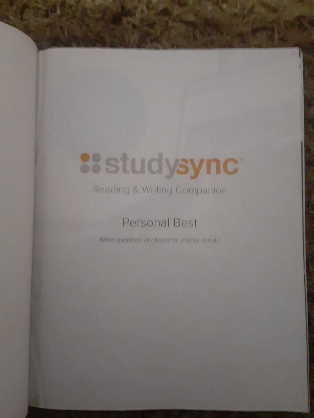 Study Sync, Grade 6, Unit 4, Reading and Writing Companion, Personal Best, New