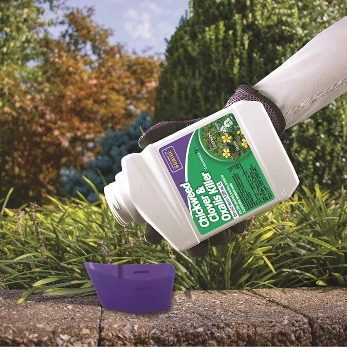 Bonide Chickweed, Clover and Oxalis Killer, 16 oz Concentrate, Controls Weeds