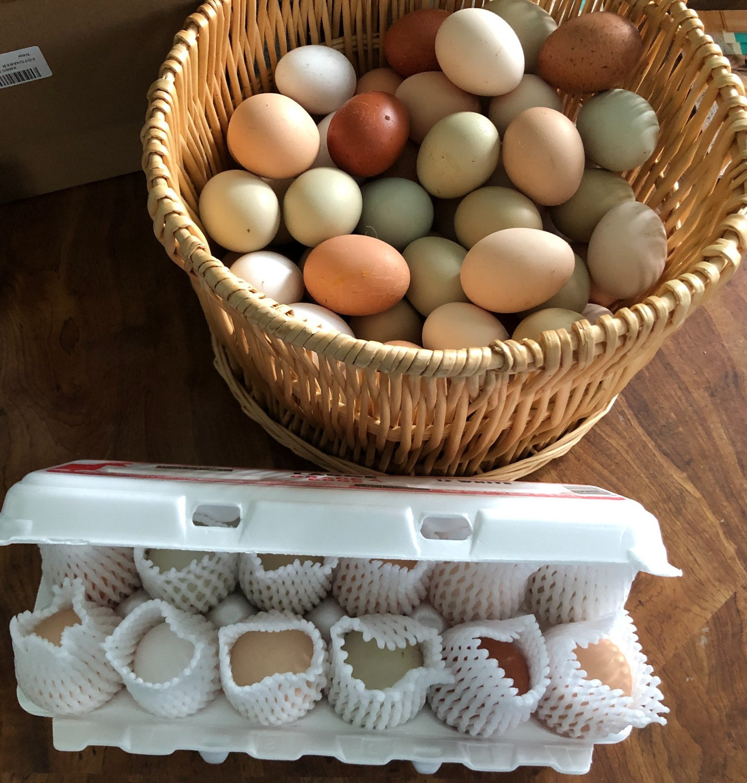 11+ Fertile Chicken Hatching Eggs BarnyardMix/Crested/Easter/Rare Breed Possible
