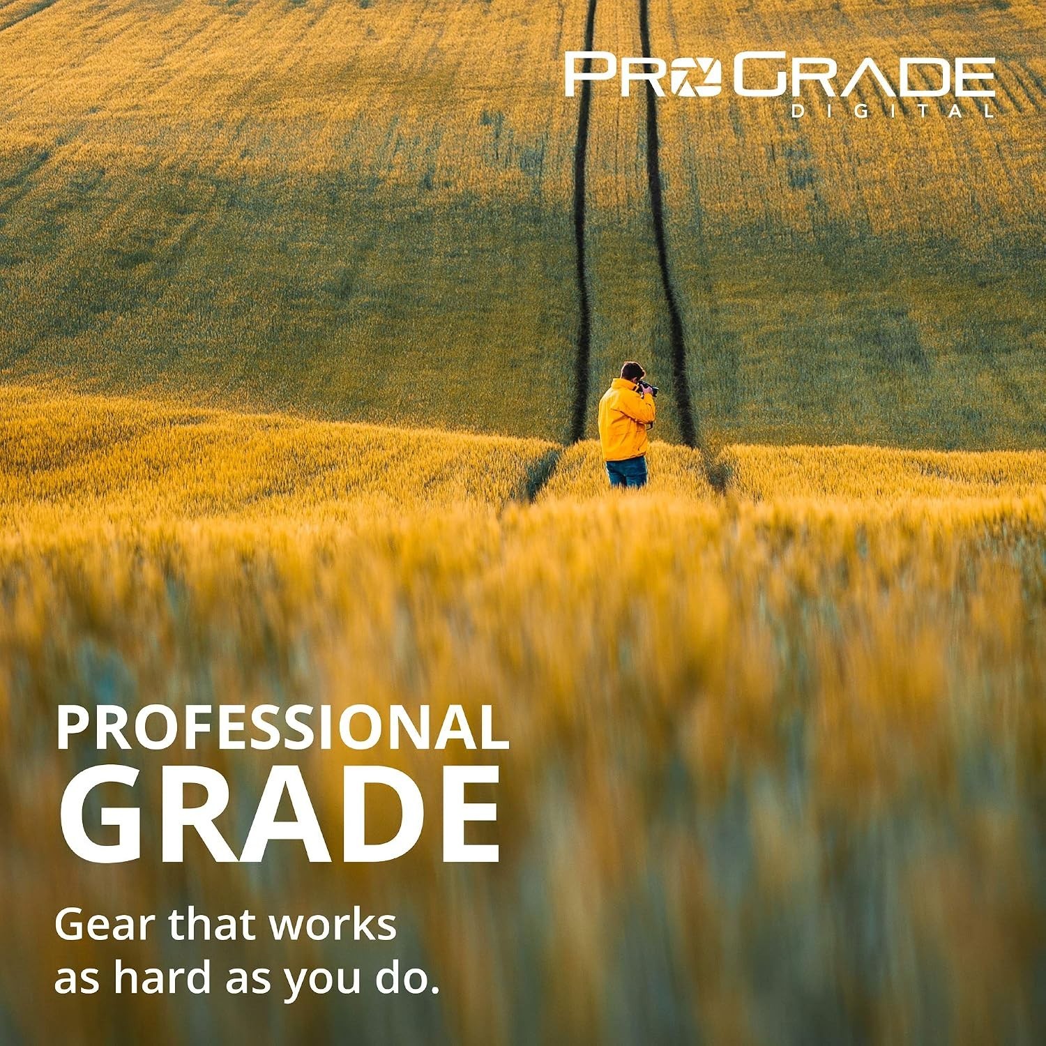 ProGrade CFexpress Type B and SD Card Reader