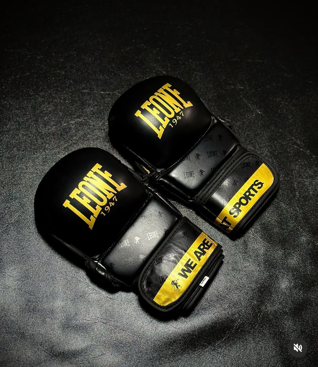Leone MMA Shooter gloves, Fight Gloves