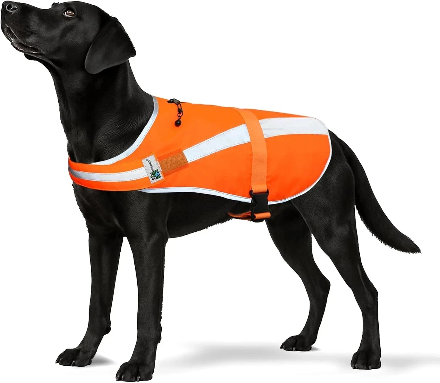Reflective Dog Hunting Vest – Blaze Orange Safety Vest with Removable Bell, Wate