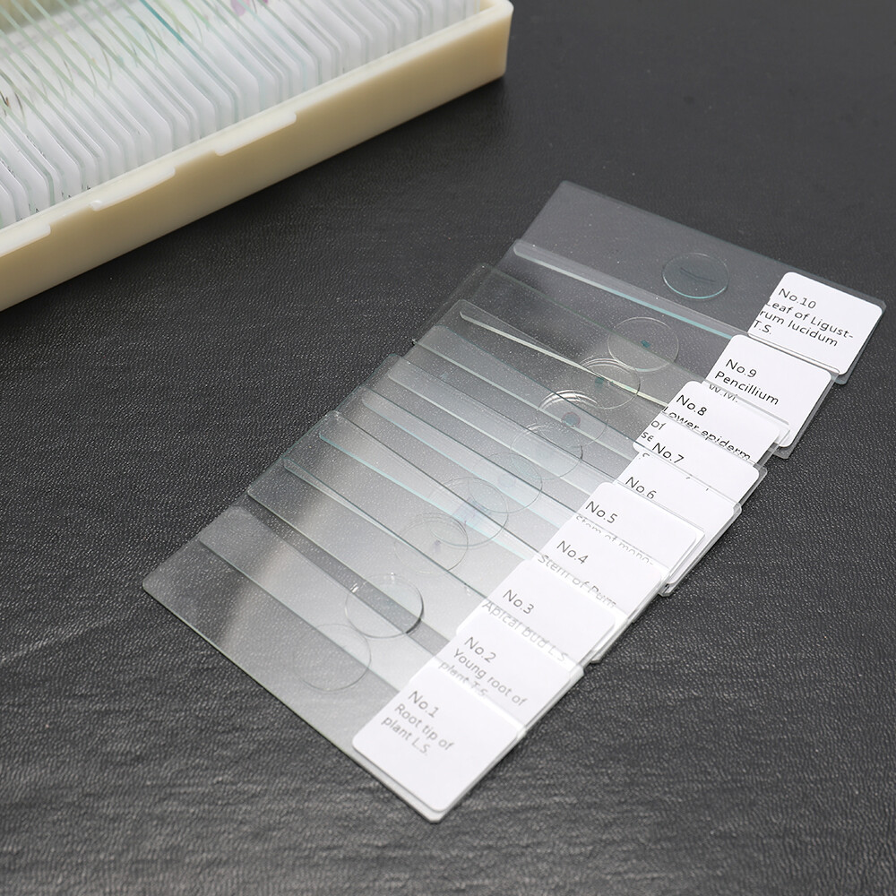 100PCS/Set Biological Glass Sample Portable Educational Microscope Slides F2X3