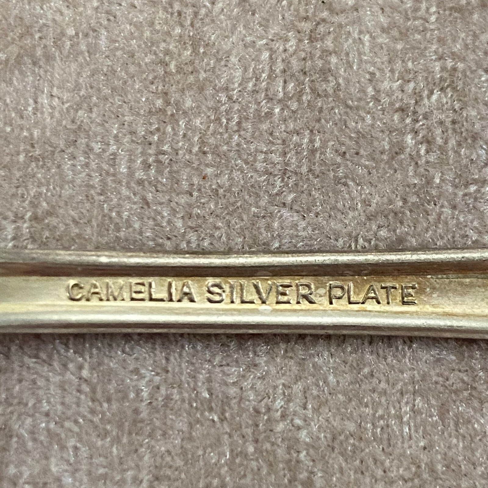Camelia International Silver 10 Teaspoons
