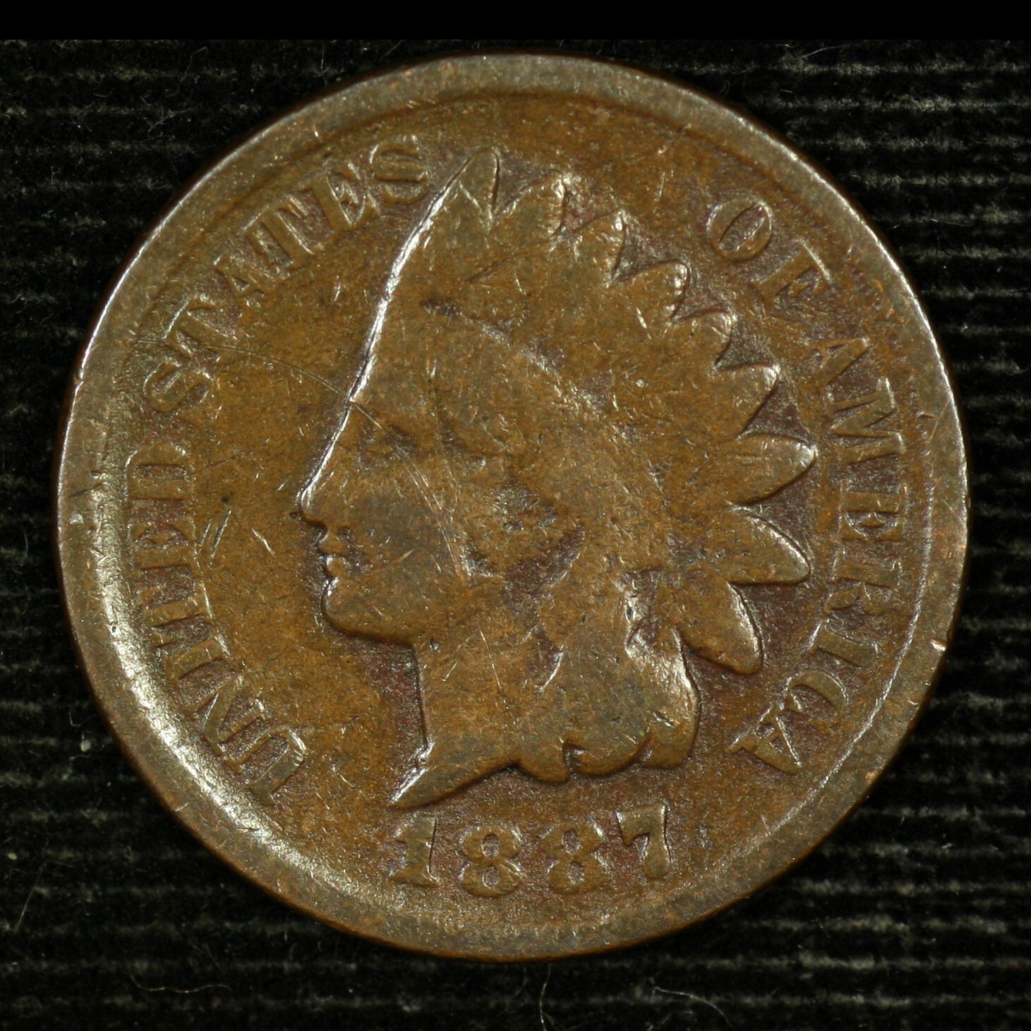 A Lot of Eight (8)  Indian Head Cents. 1887 Circulated.  Lot # Jrrc-9049-08