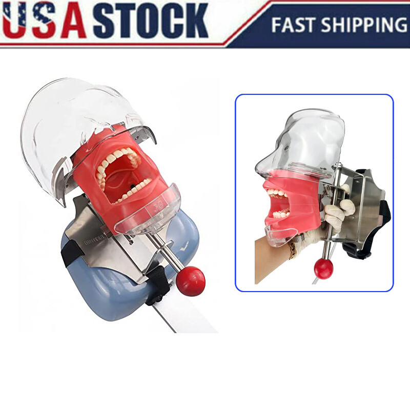 USA Dental Simulator Mannequin Head Teeth Model Dental-chair for Dental Training