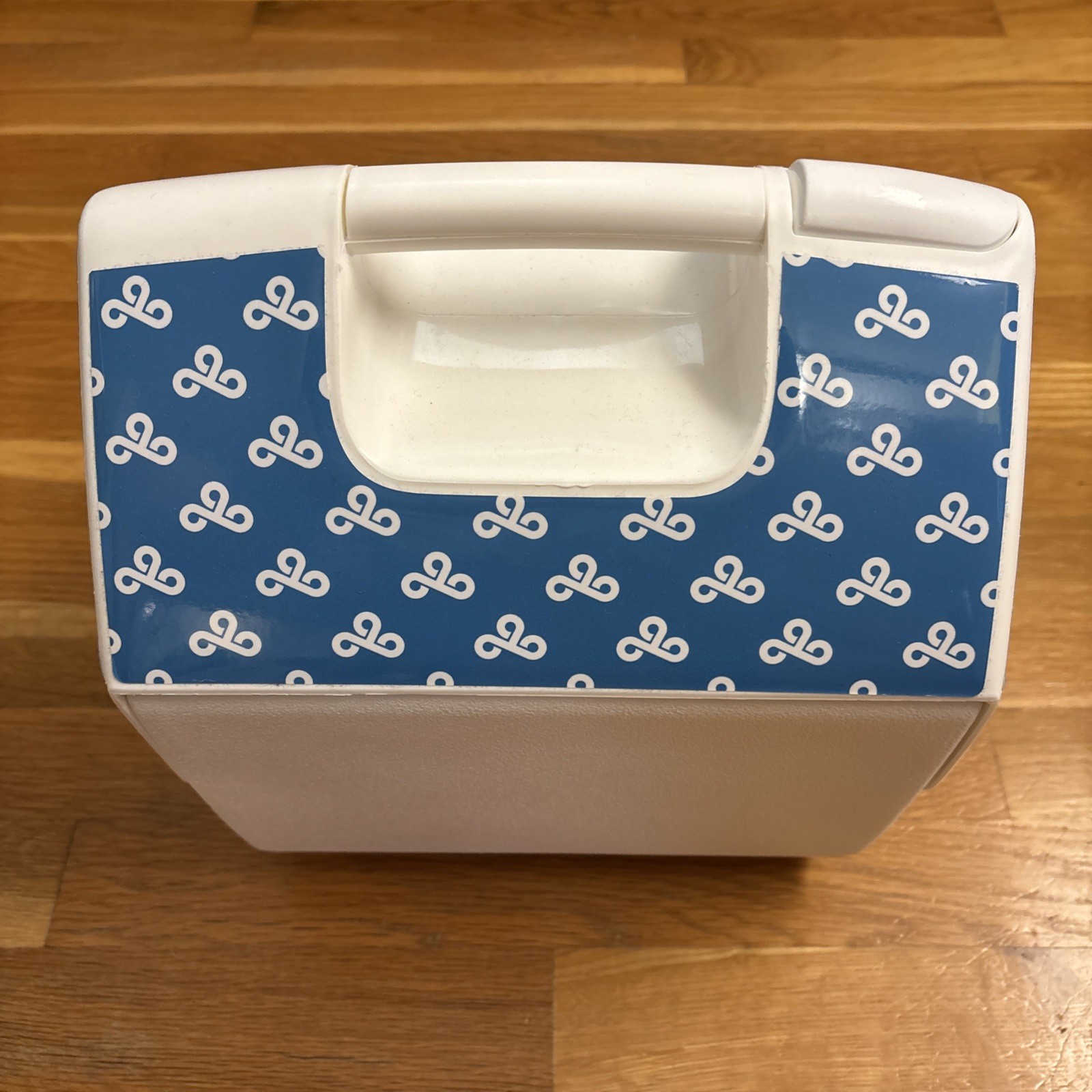 Igloo Cooler Cloud 9 Promotional Item