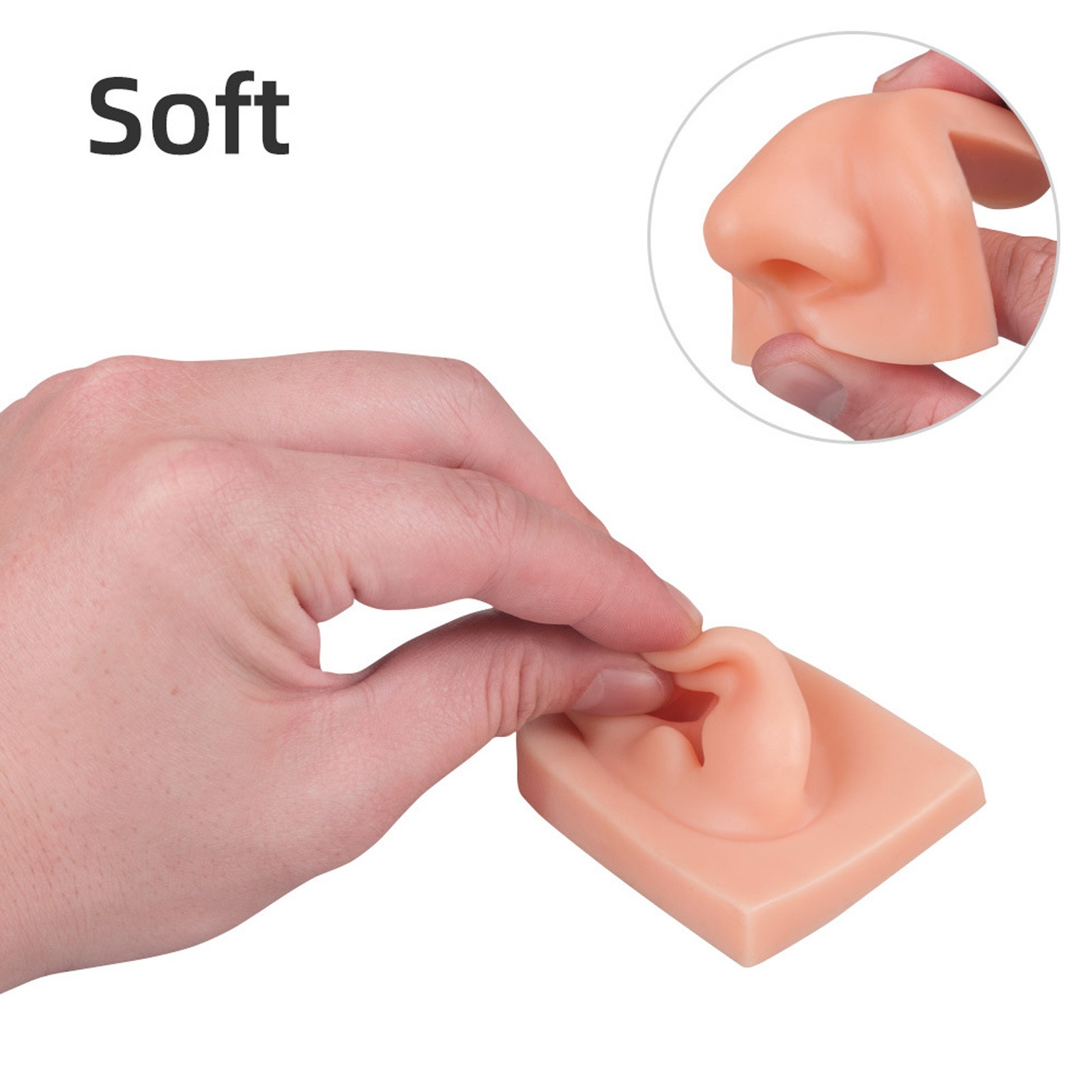 Professional Piercing Practice Ear Model For Earrings Display NEW↑