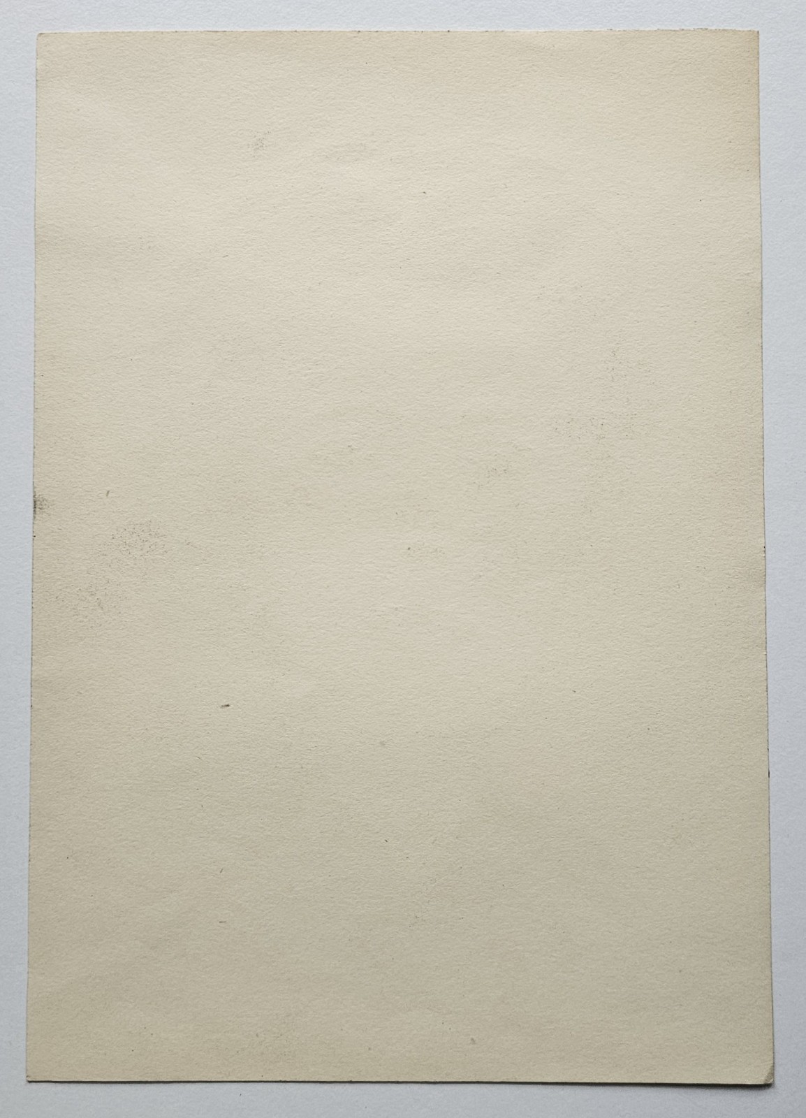 Female Study Portrait - drawing by Michael Murphy, 1960