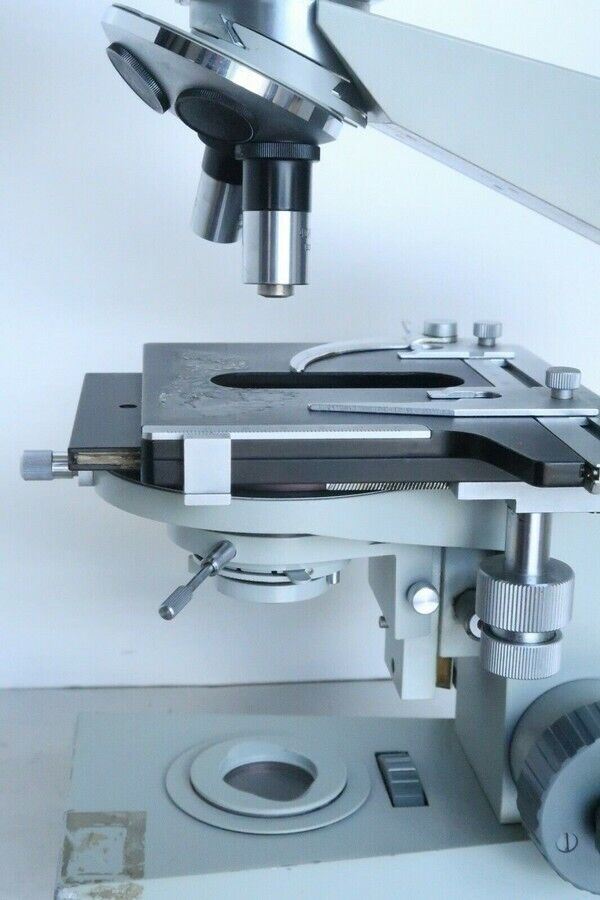 Carl Zeiss Jena Ergaval Vintage Compound Binocular Microscope 10X 40X Objective!