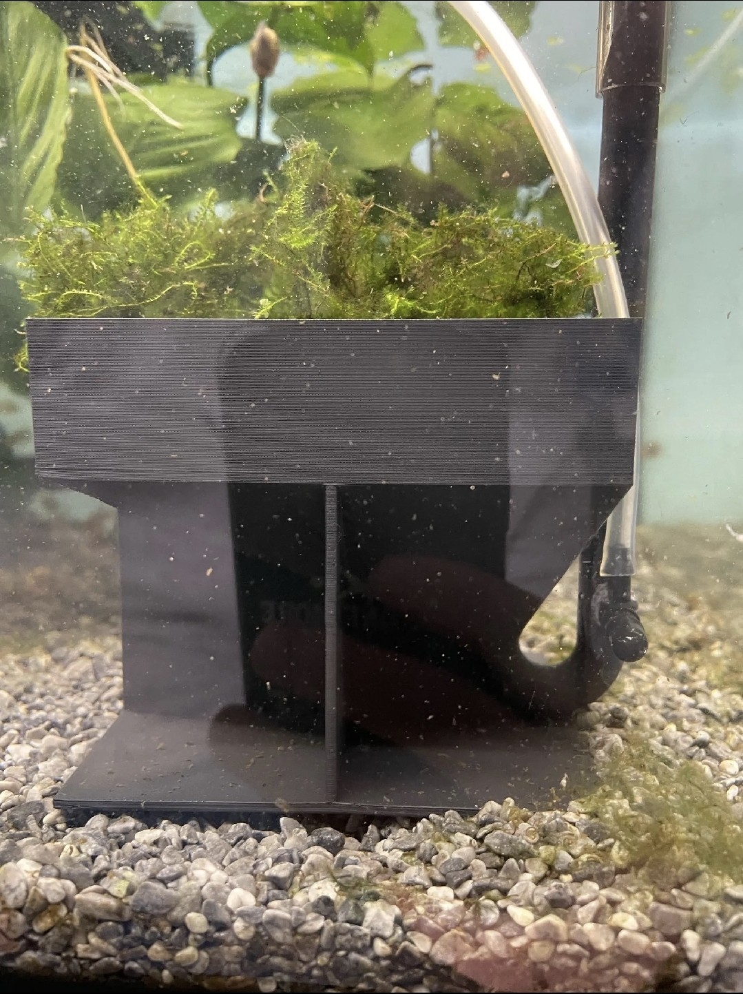 4x4 inch Fluval Breeder Box Egg Catcher