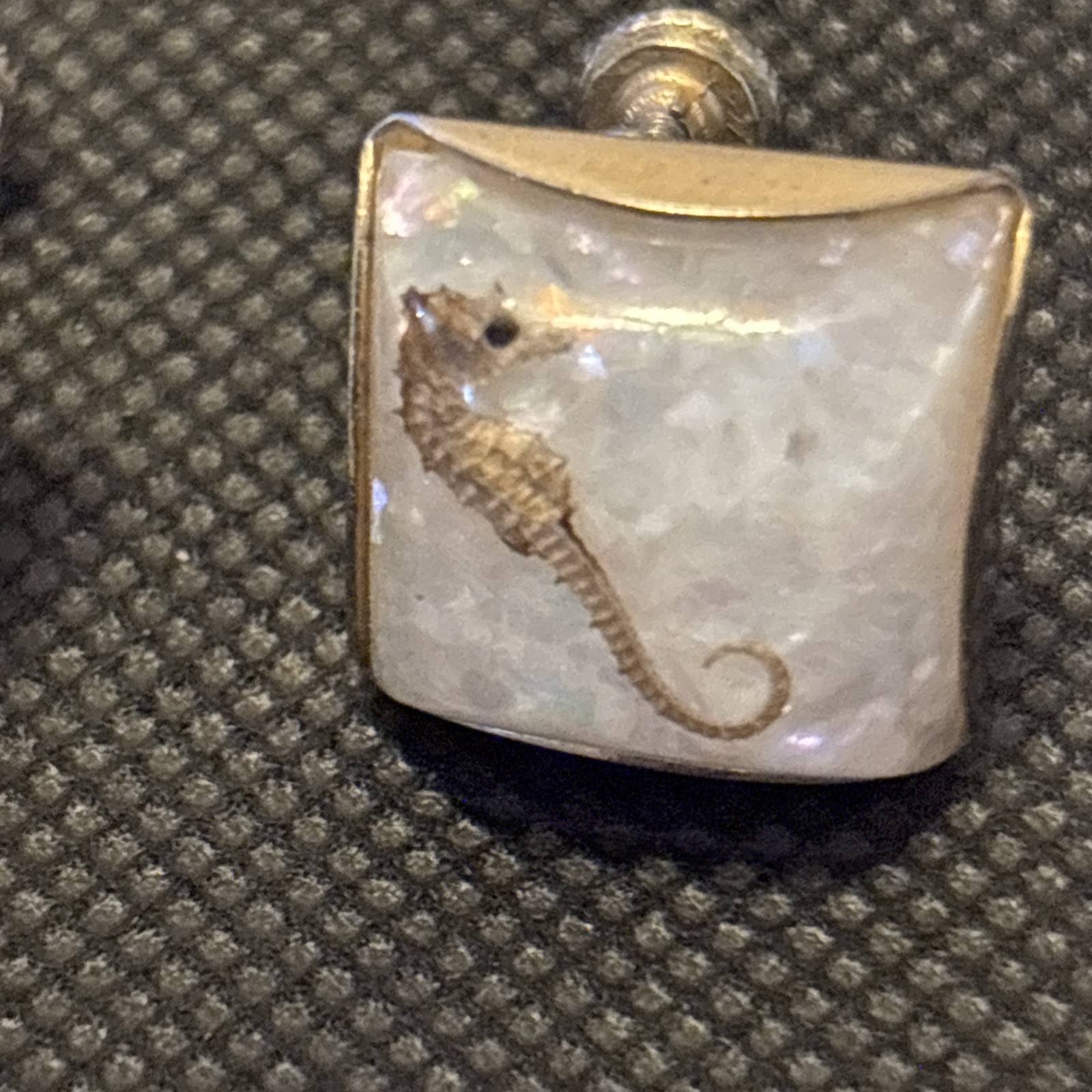 Seahorse Encapsulated Screw-back Earrings