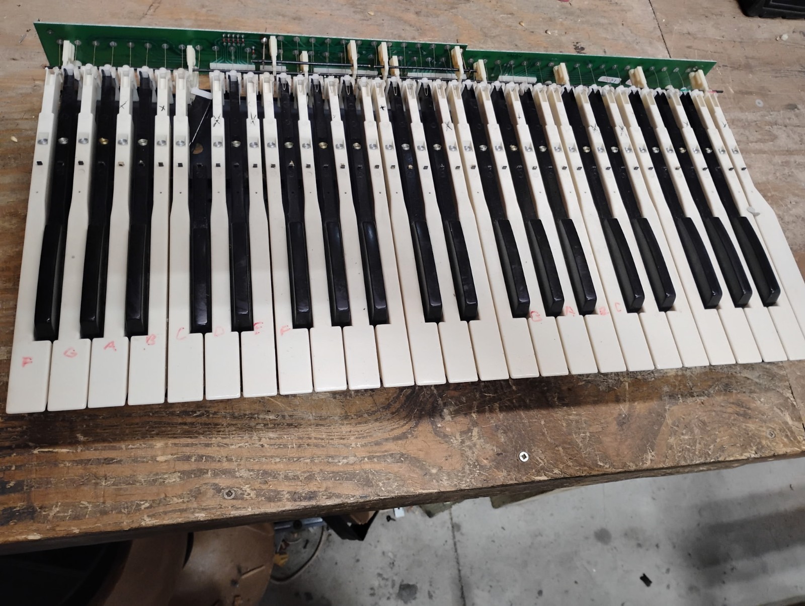 Vintage Organ Keys 44 Note 3.5 Octave Set! MAKE OFFER! Measures 24in x 13in