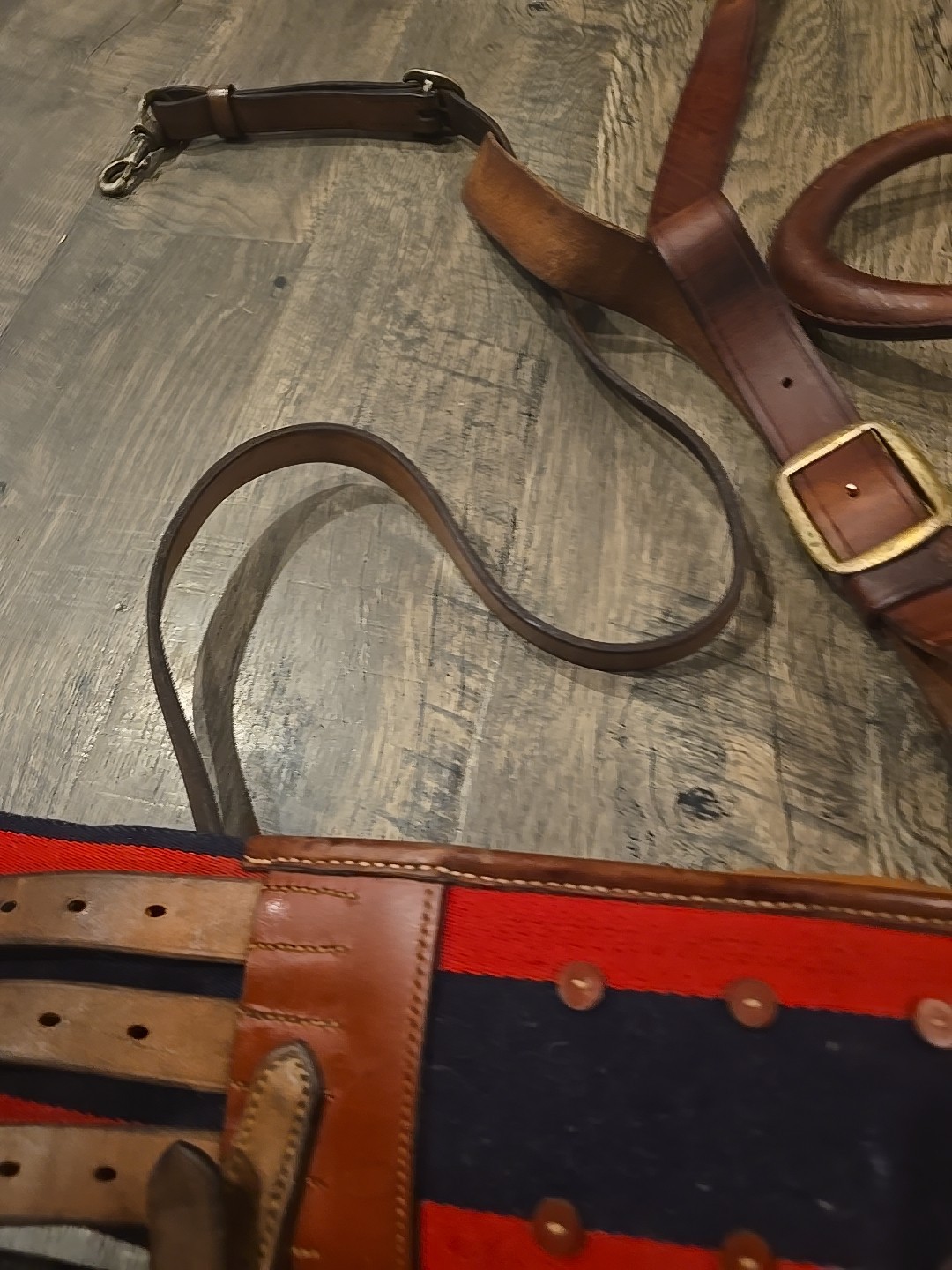 horse training surcingle