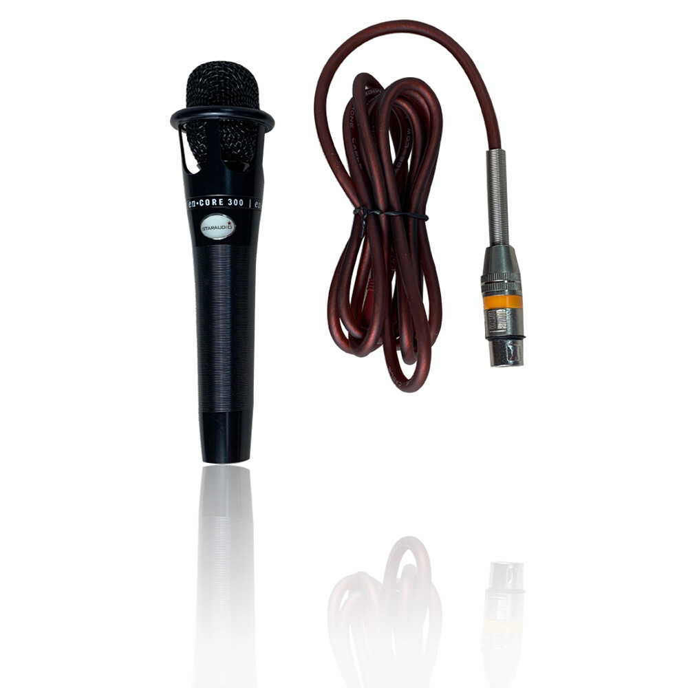 Studio Microphone Condenser Complete Kit Live Microphone Sound Recording Boom