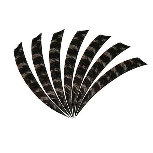Wolfman 50Pcs 3 4 5Shield Cut Archery Fletches Arrow Feathers Turkey Feather