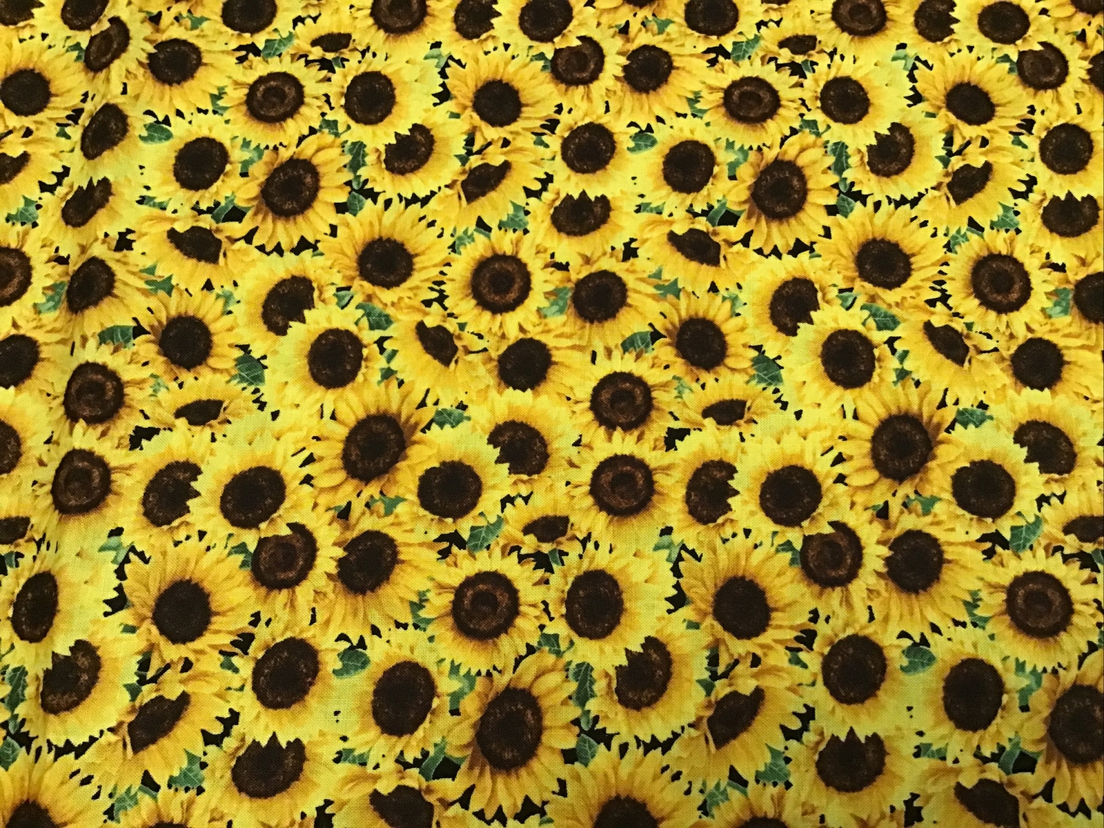 Fabric Sunflowers 8781, 1 yard