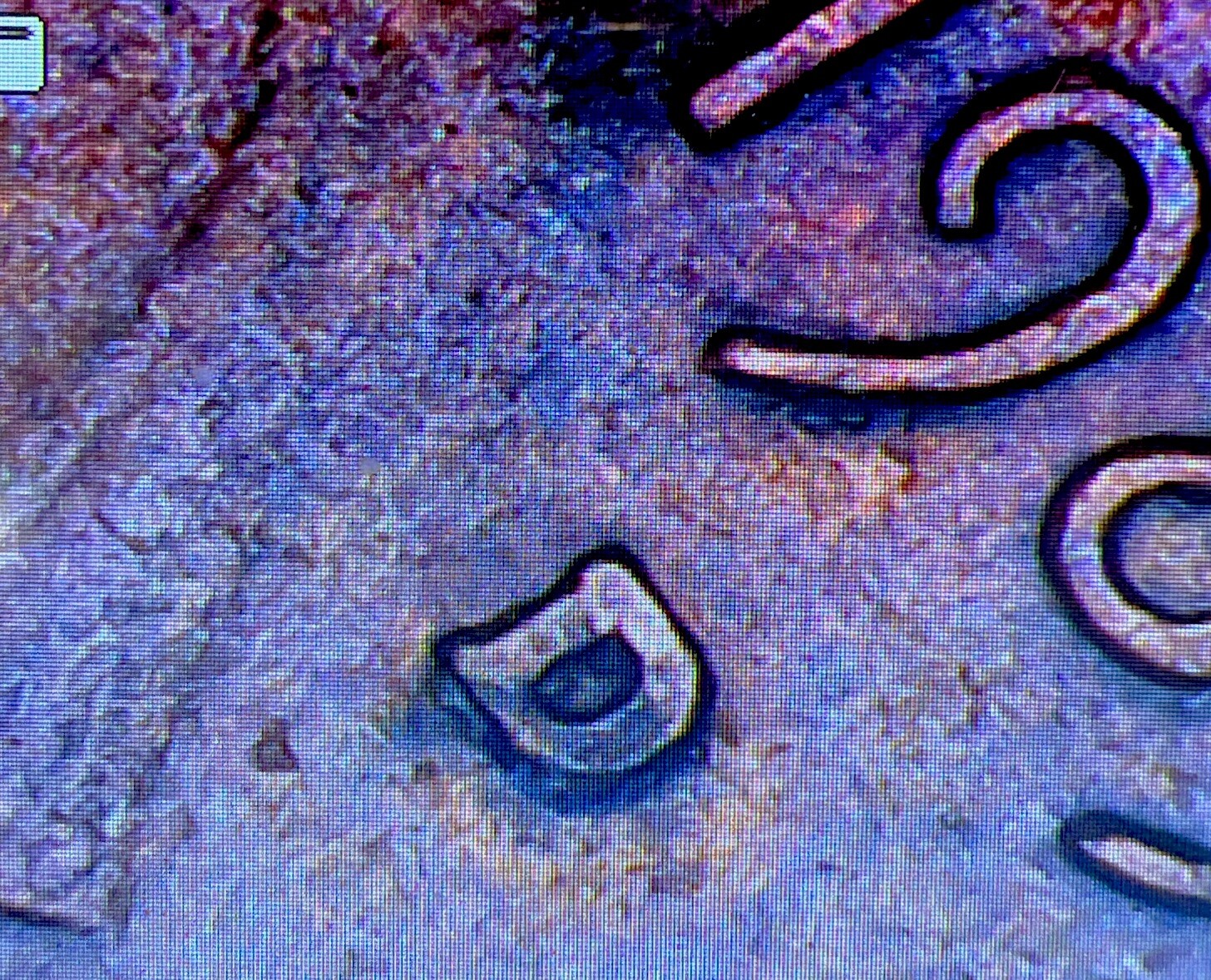 1983-D Penny RPM D/D, Partial Plating, Misaligned Reverse Die Mint Errors