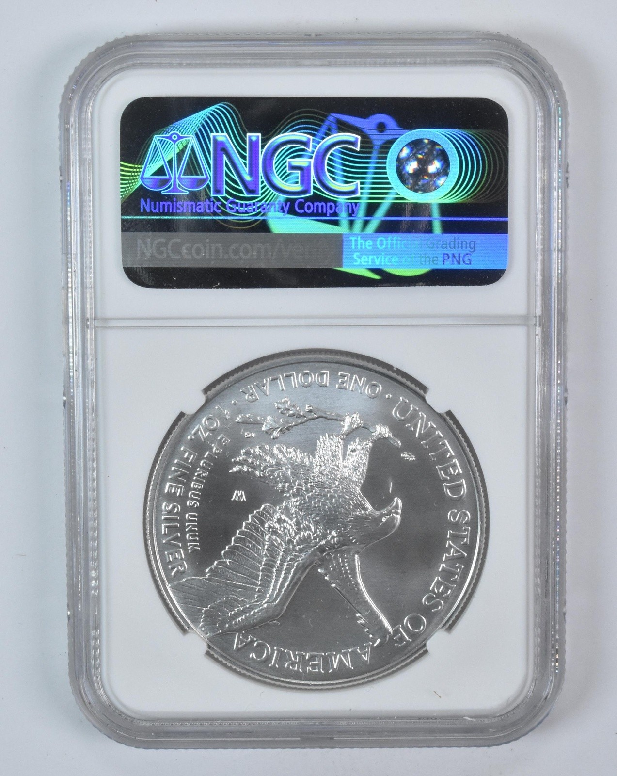 2024-W Burnished Silver Eagle MS70 NGC Brown Label