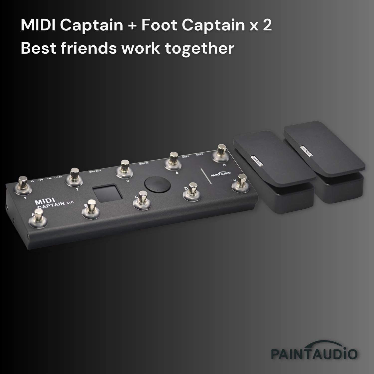 Paint Audio Foot Captain Dual Outputs Expression Pedal Multi-effects for Tip/...