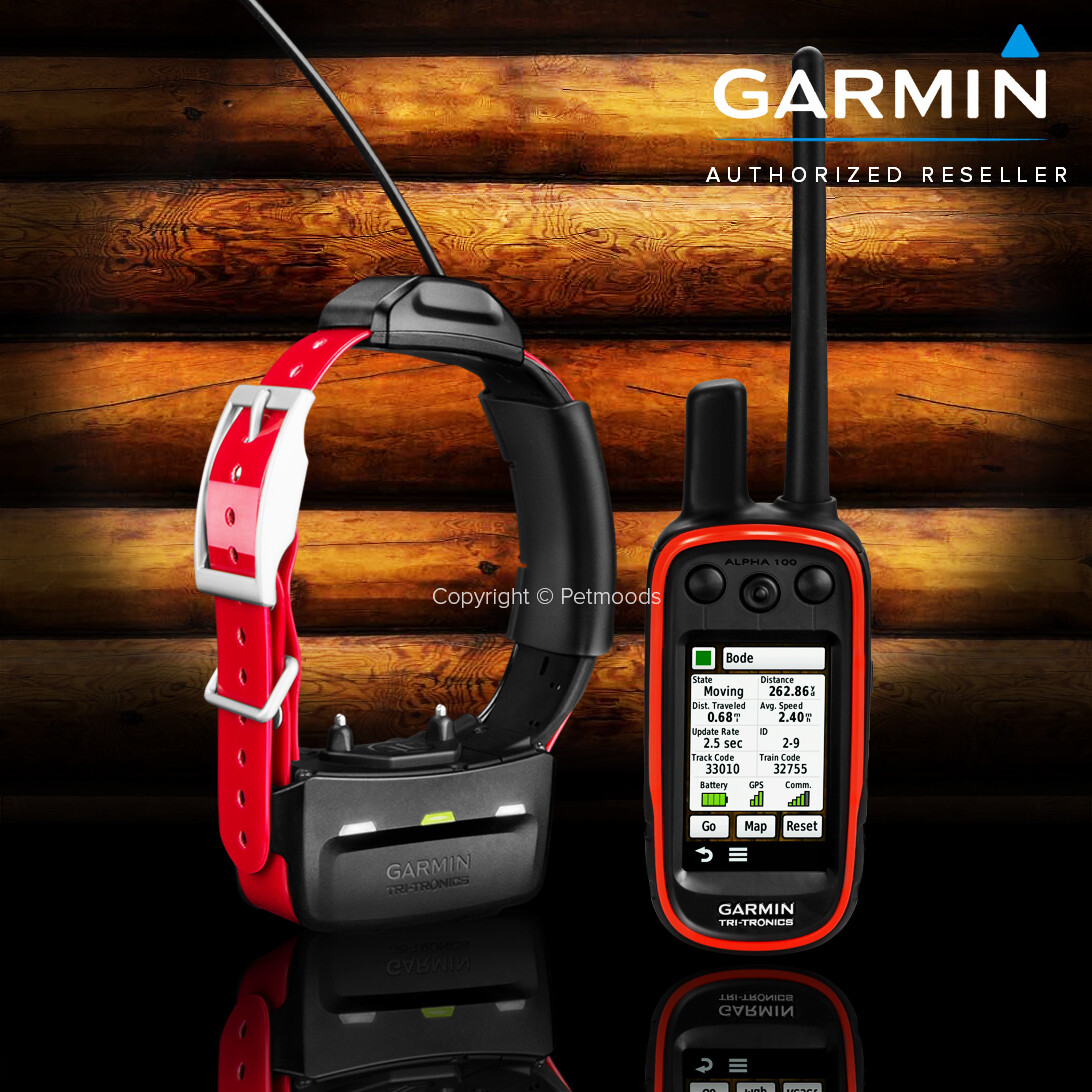 Garmin Alpha 100 / TT15X Dog Device GPS Collar Bundle