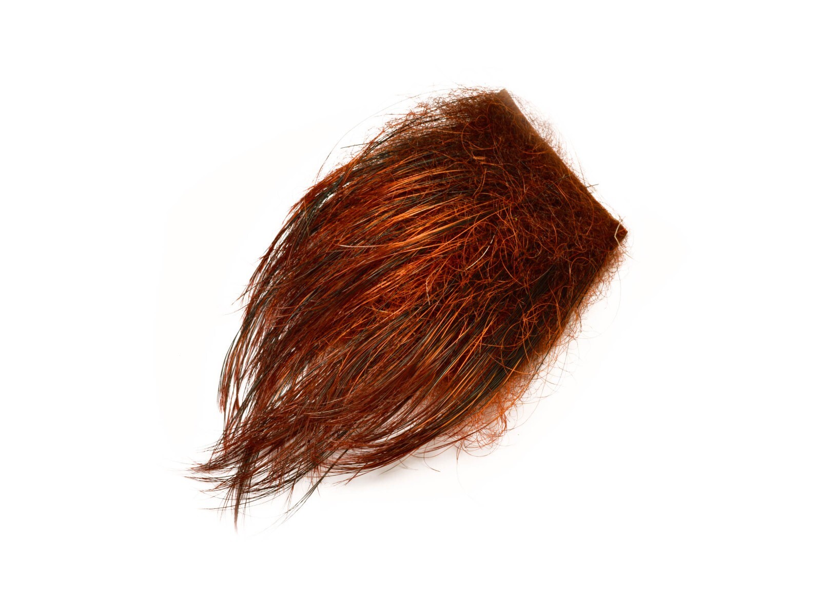 Frodin Flies SNS Wild Boar Feelers For Fly Tying ** NEW 2026 Stocks ****