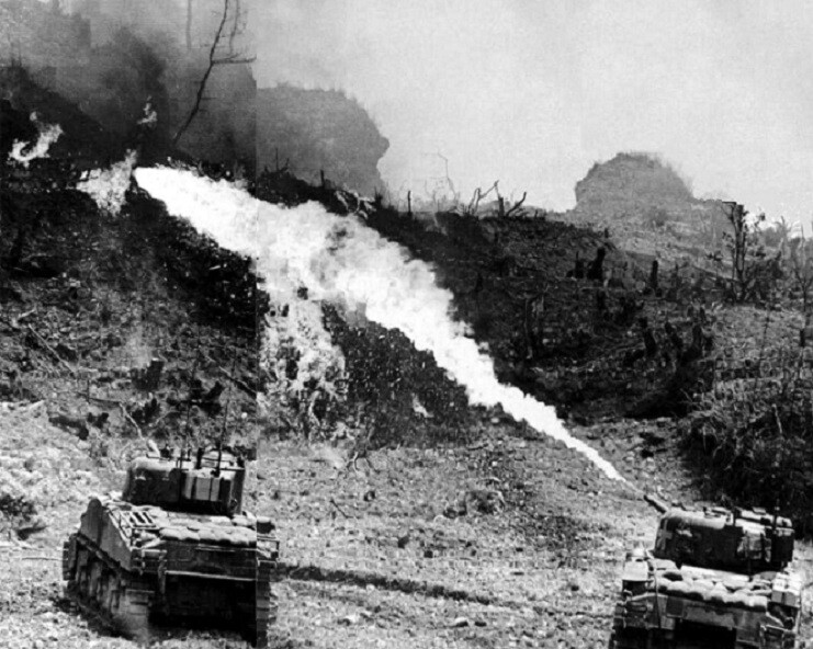 U.S. Marines with Flamethrower Tanks on Okinawa 8x10 WWII WW2 Photo 828