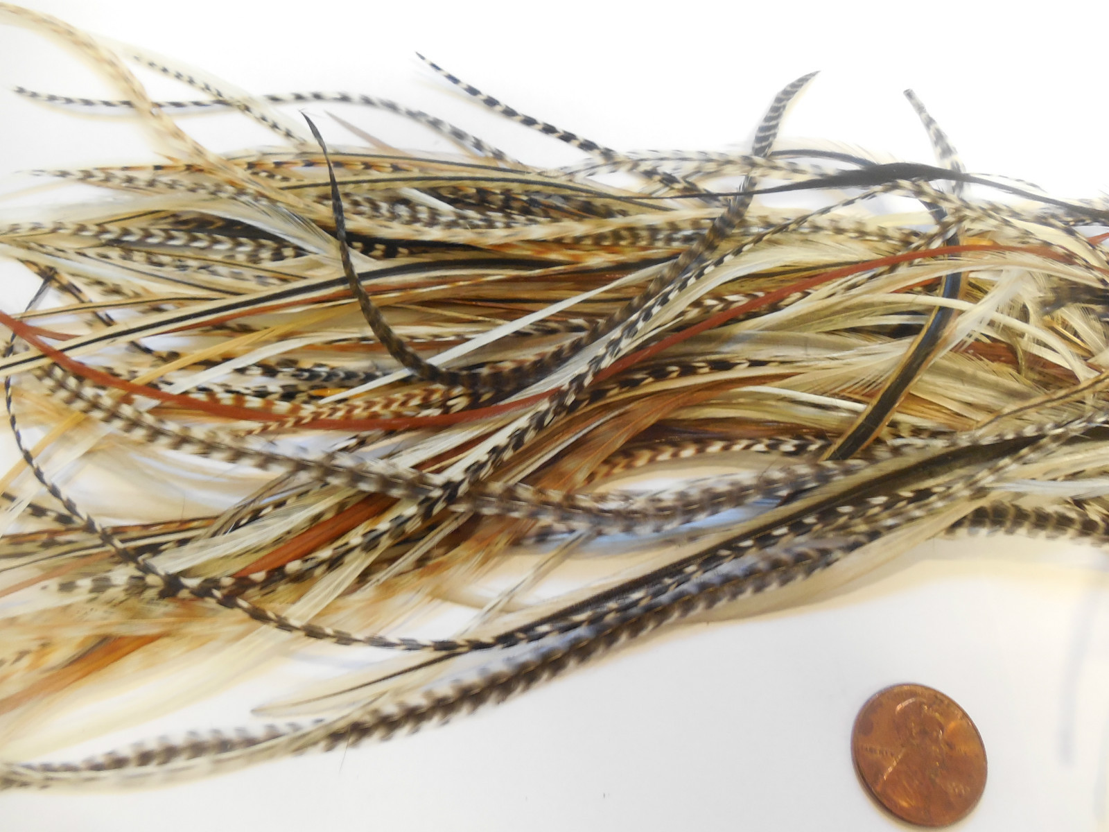 100 Whiting Metz Saddle HACKLE FLY TYING FEATHERS ASST Long GRIZZLY Lot