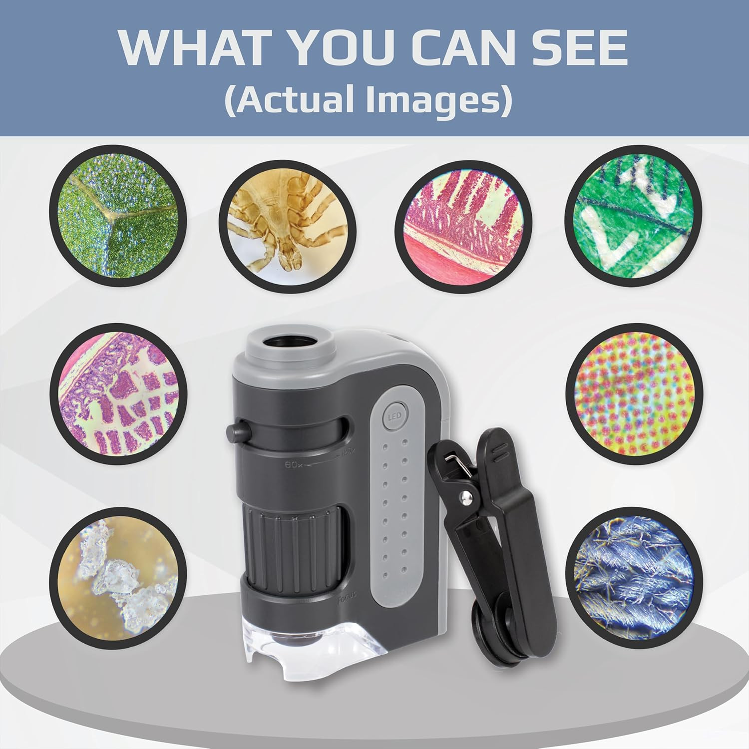 Carson Microbrite plus 60X-120X Accurate LED Lighted Pocket Microscope, Portable