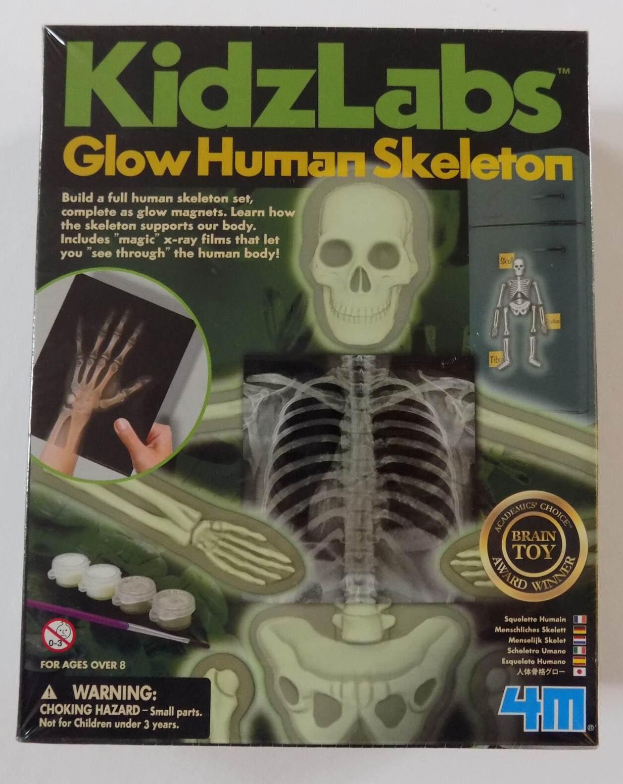 NEW Glow Human Skeleton Kit by KidzLabs Build a Full Human Skeleton