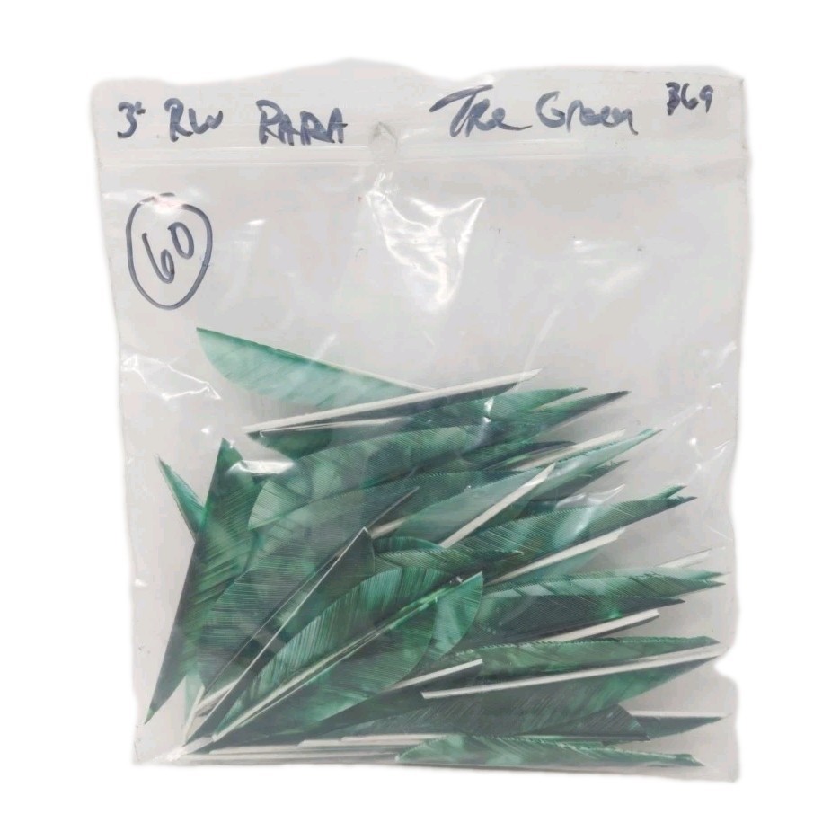 60 Count Archery Arrow Feathers 3" Right Wing Parabolic: Camo Tre Green