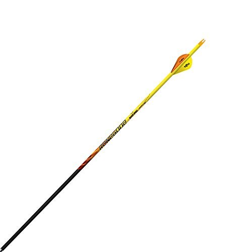 Black Eagle Renegade Fletched Arrows 6pk, .005" 400 Spine (176): NEW, Free Ship