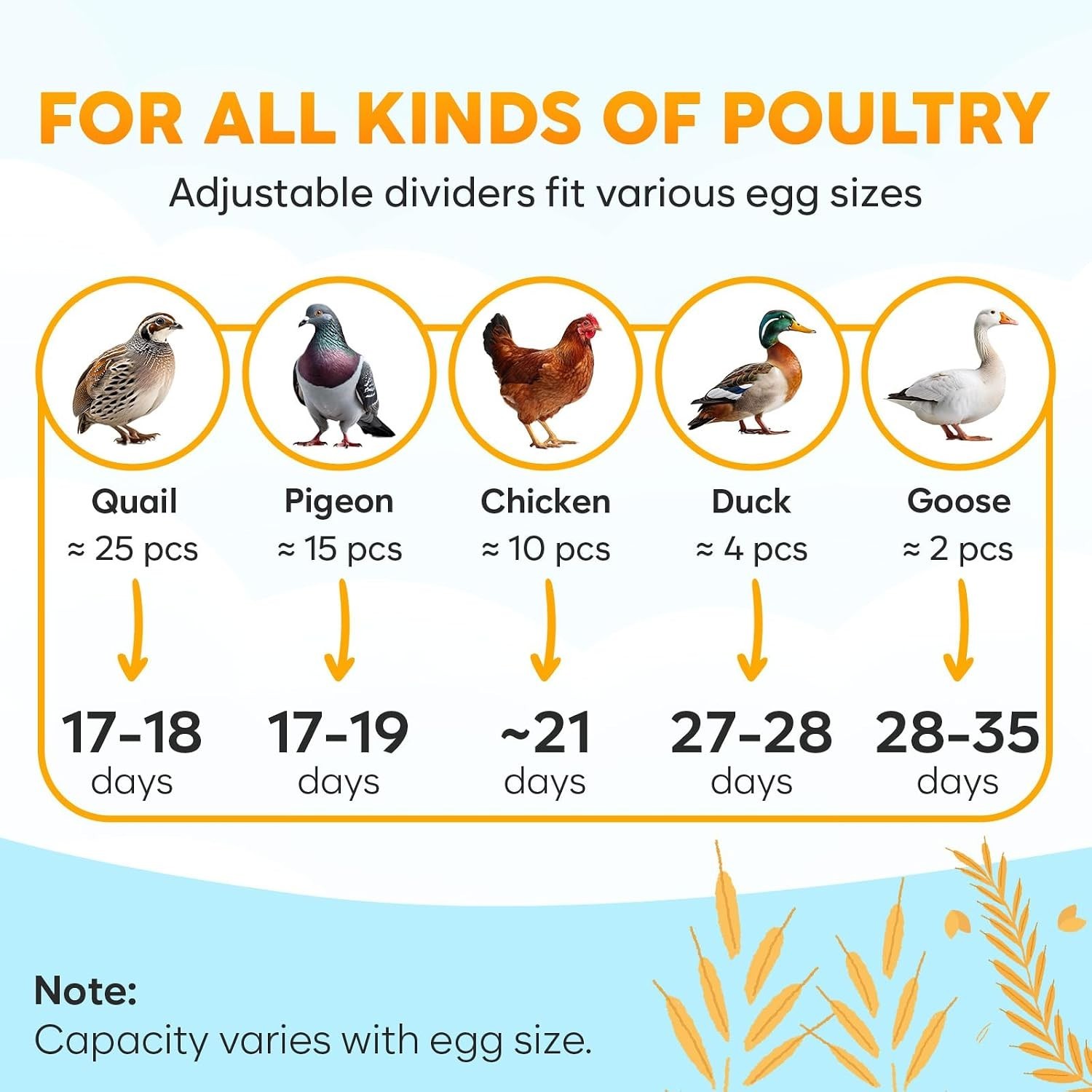 Okkobi M12 Egg Incubator with Automatic Turner and Humidity Control - 12/24 E...